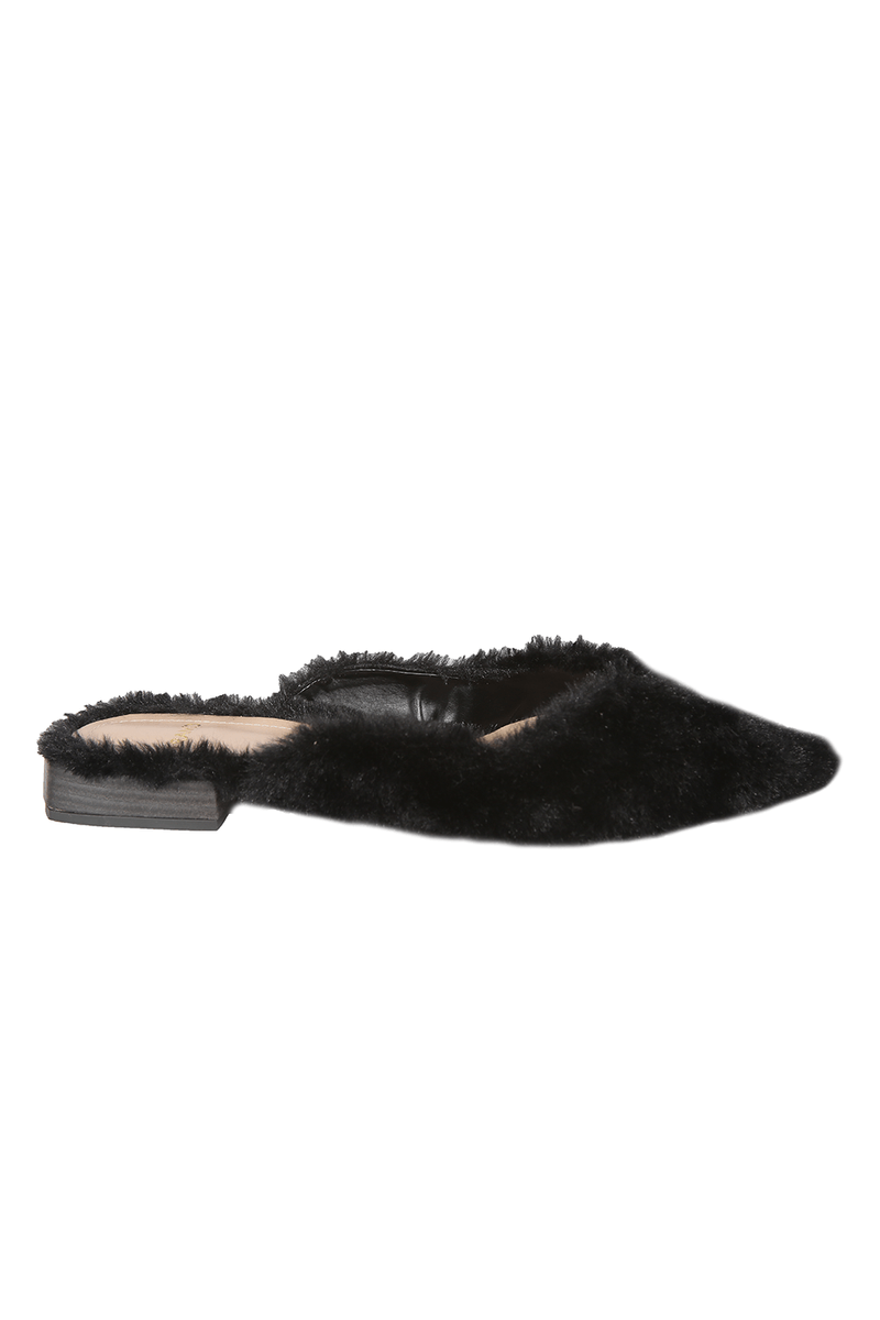 44429-PRETO-5