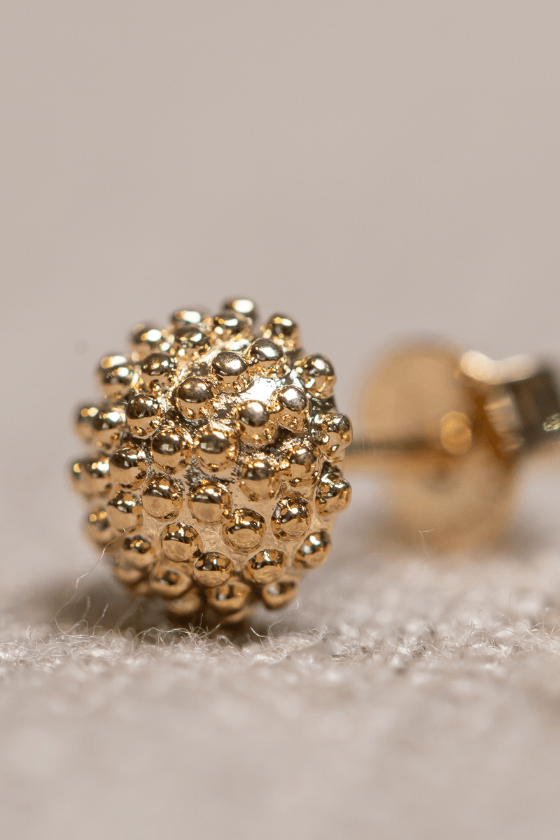 MKT_EMC_0055_DOURADO-2