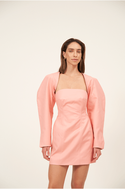Vestido Mini Saj Framed - Rosa