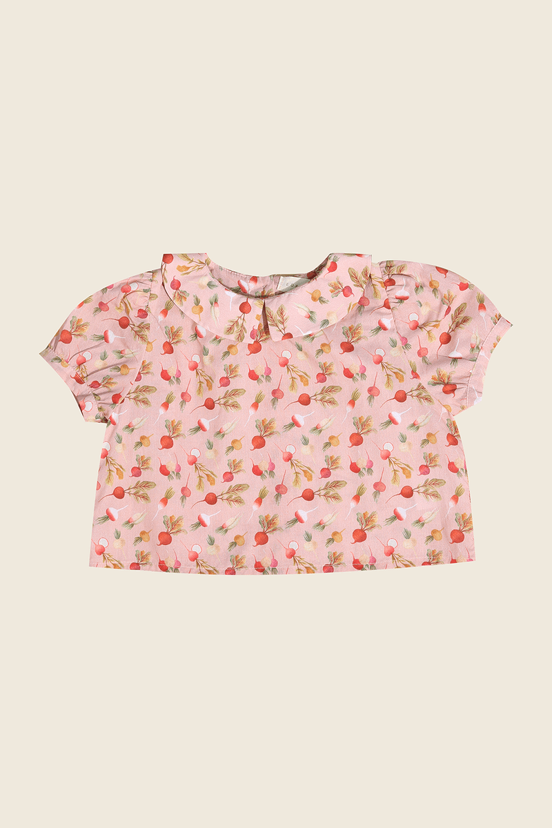42673-ROSA-1
