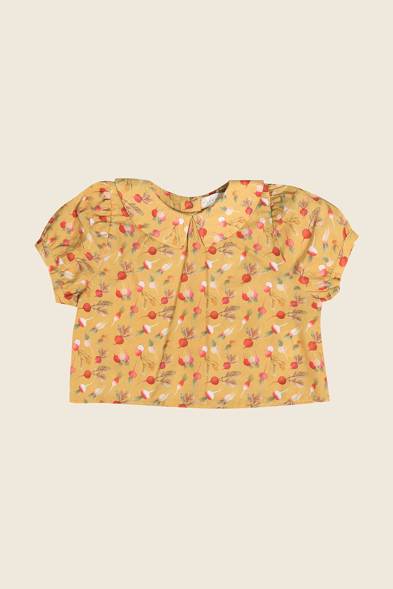 42673-AMARELO-1