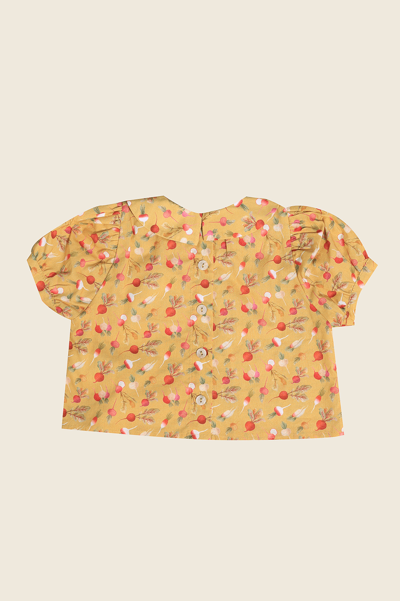 42673-AMARELO-2