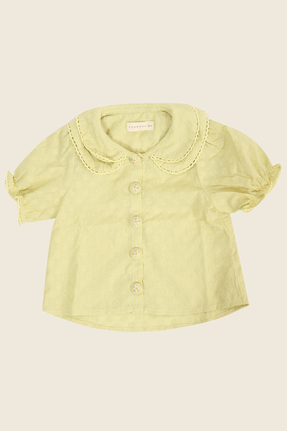 42803-VERDE-1