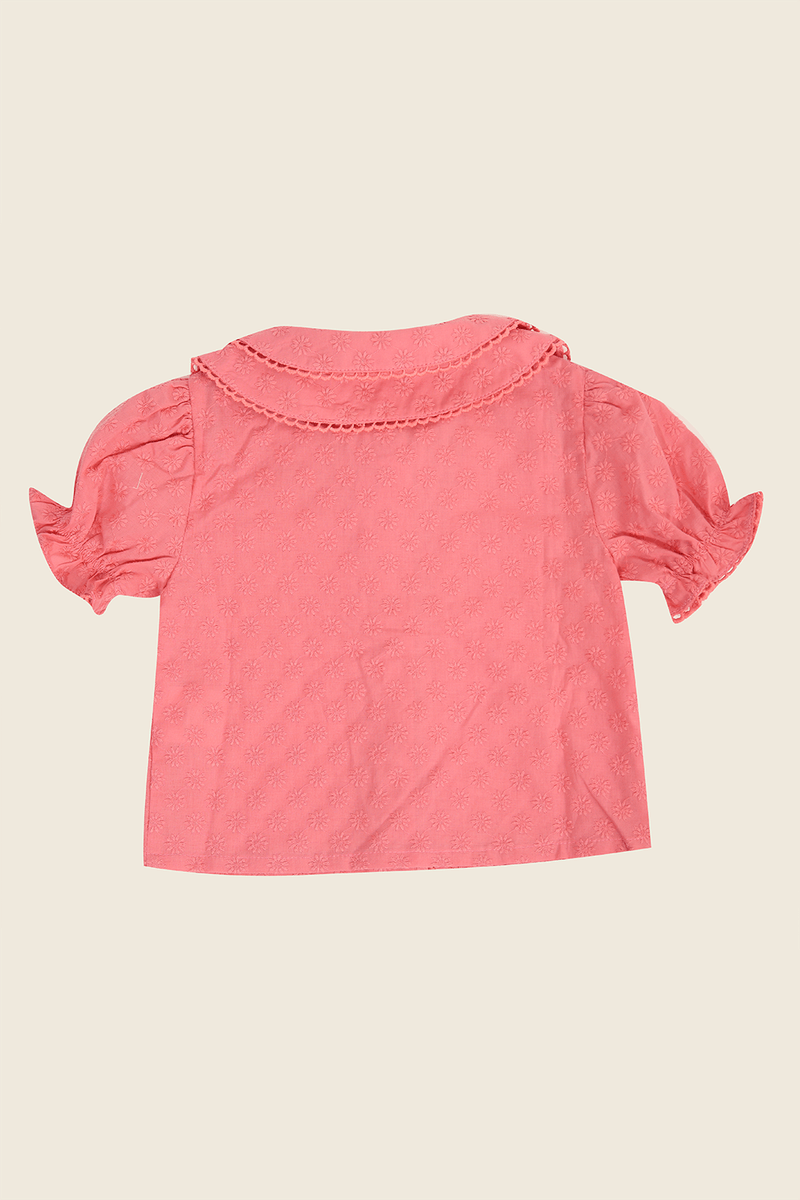 42807-ROSA-2
