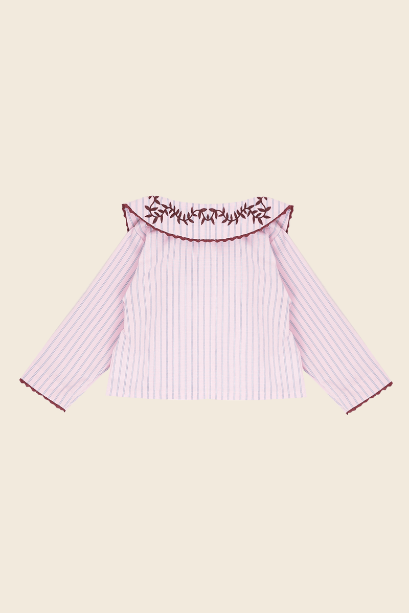 53605-ROSA-4
