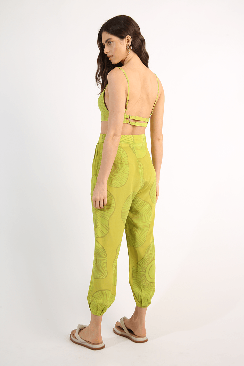 42837-VERDE-5