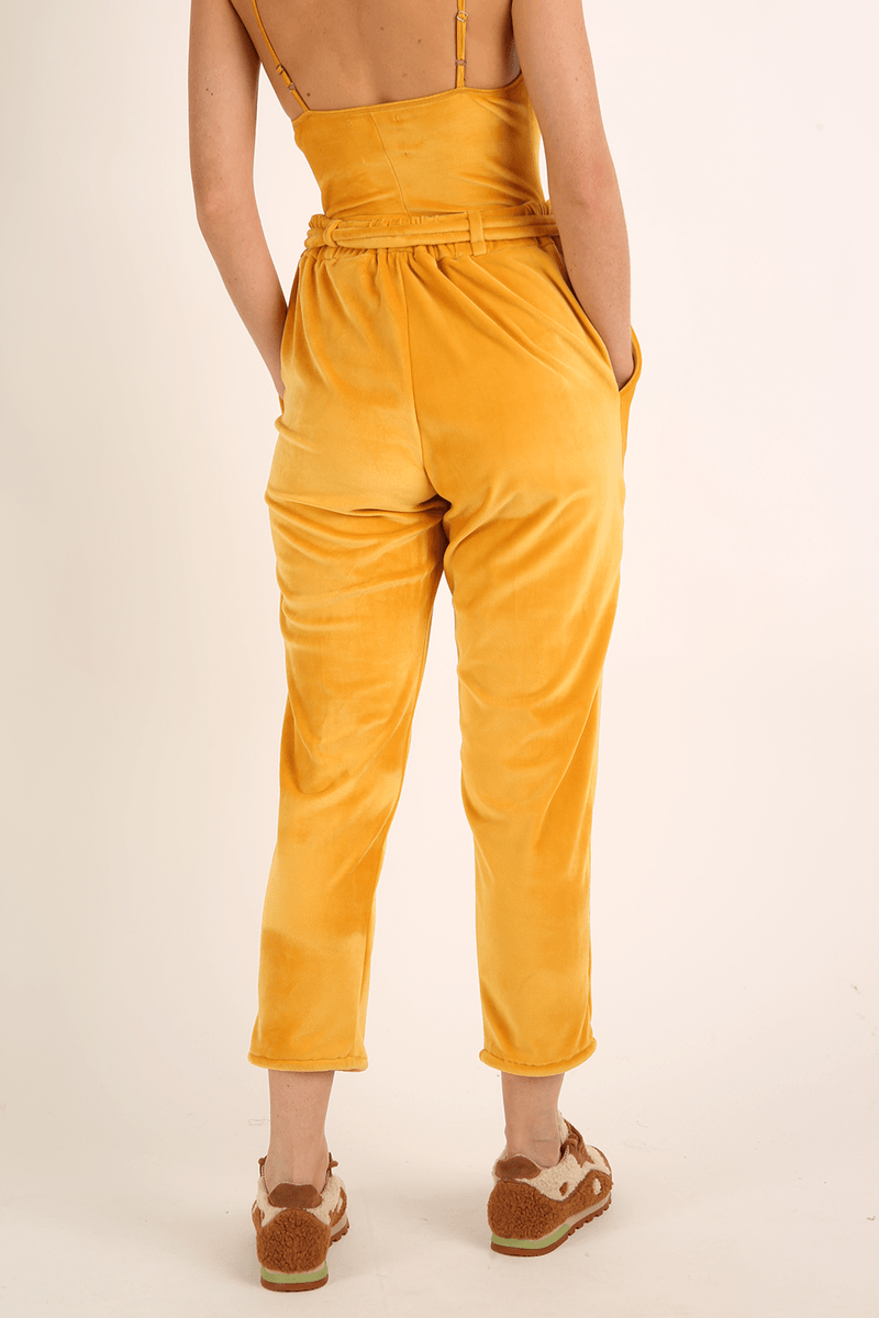 40556-AMARELO-3