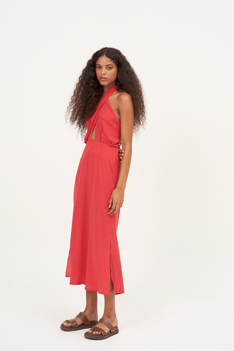 52793-ROSA-3