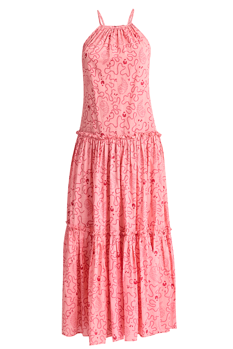 43041-ROSA-5