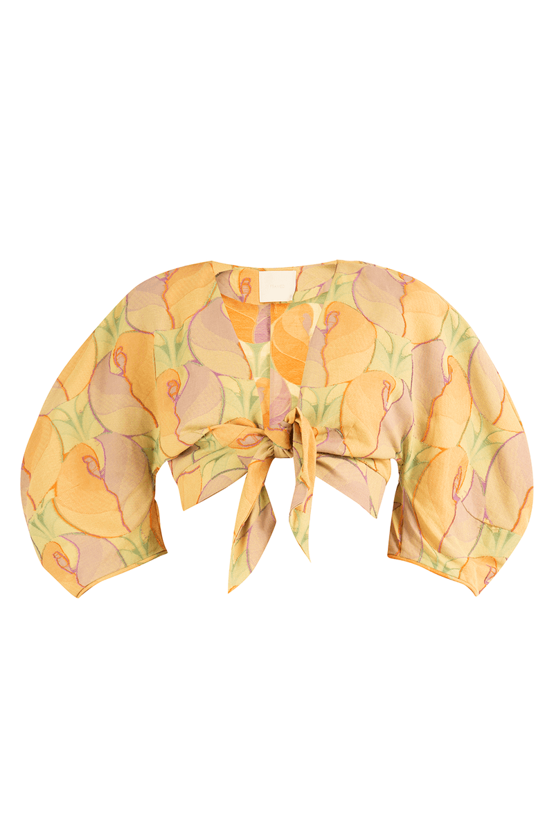 39494-LARANJA-5