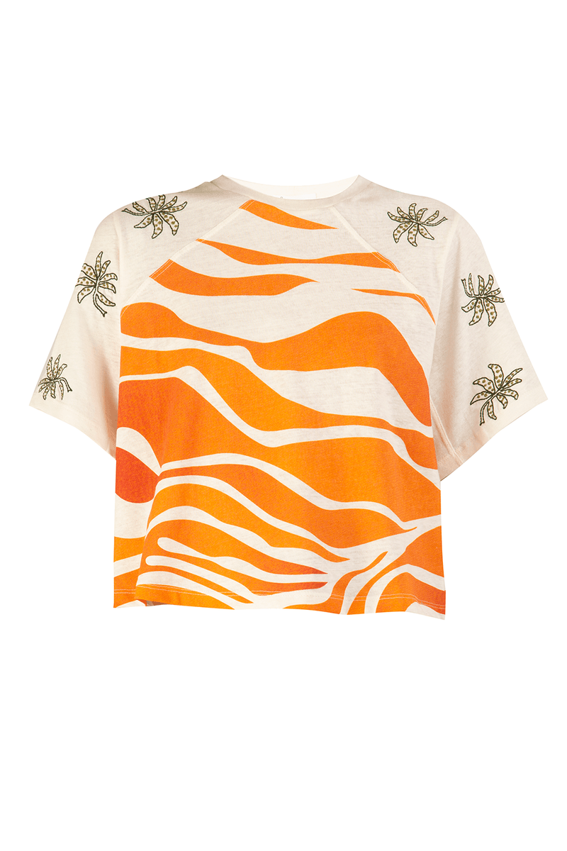 38610-LARANJA-6