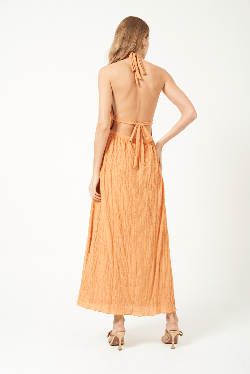 51598-LARANJA-5