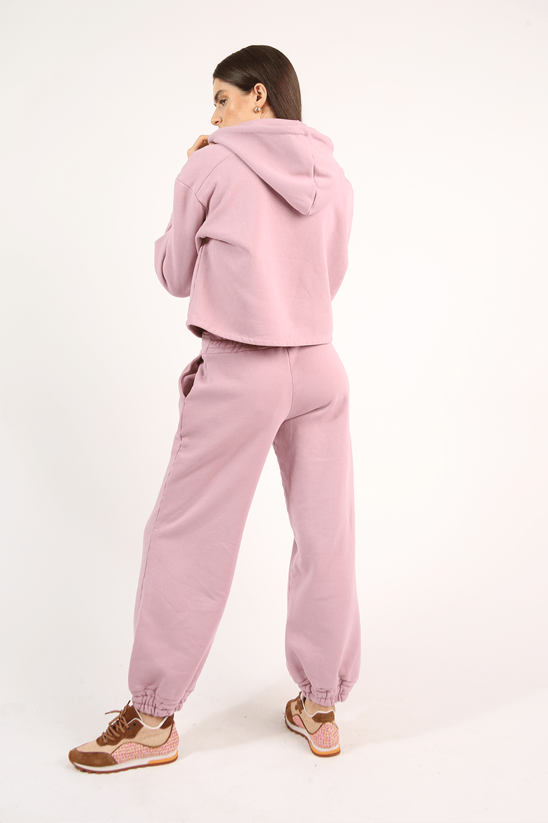 43097-ROSA-3