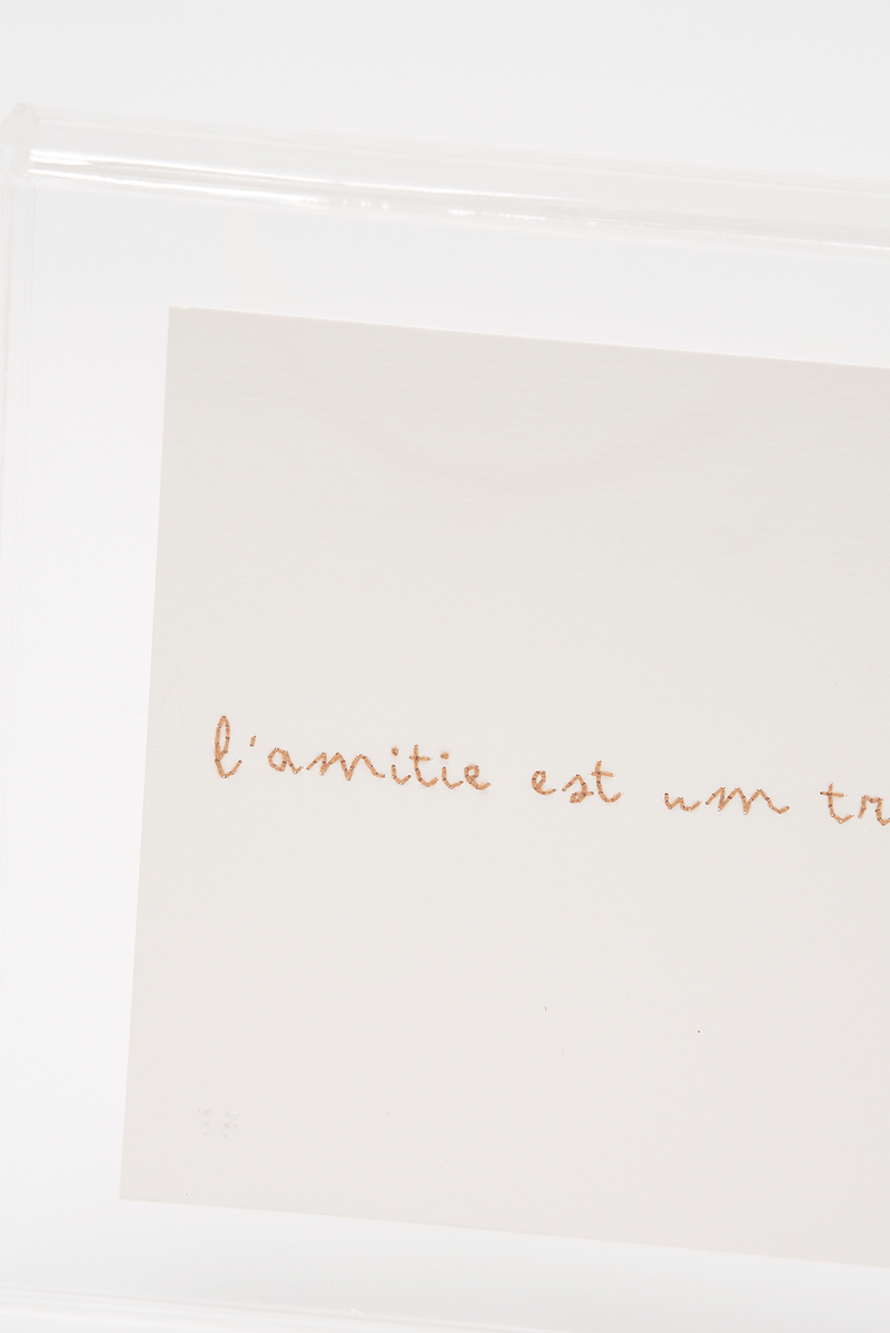 52801-TRANSPARENTE-2