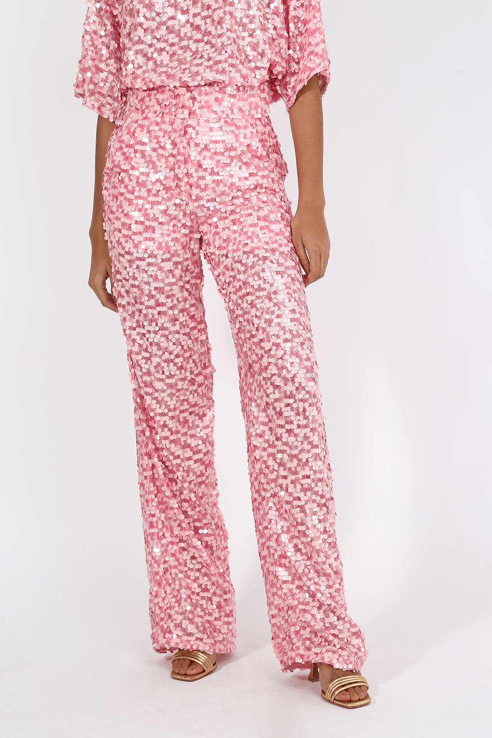 48291-ROSA-2