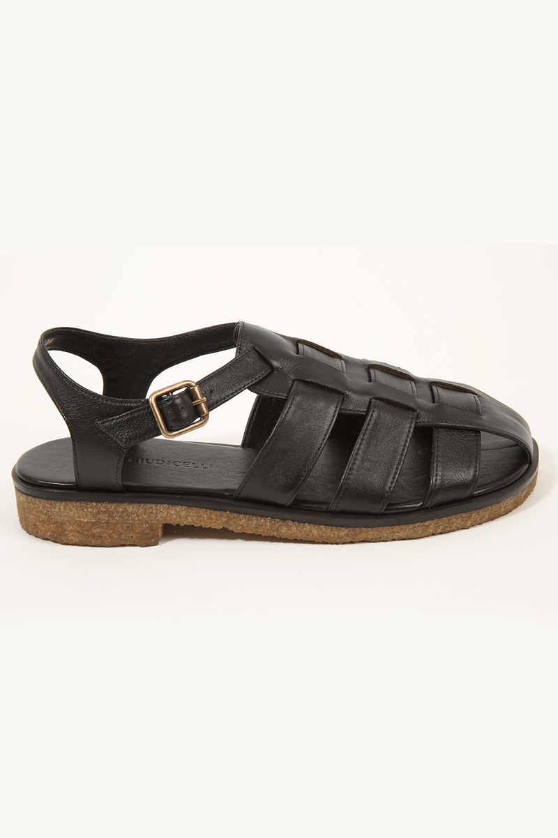 43254-PRETO-1