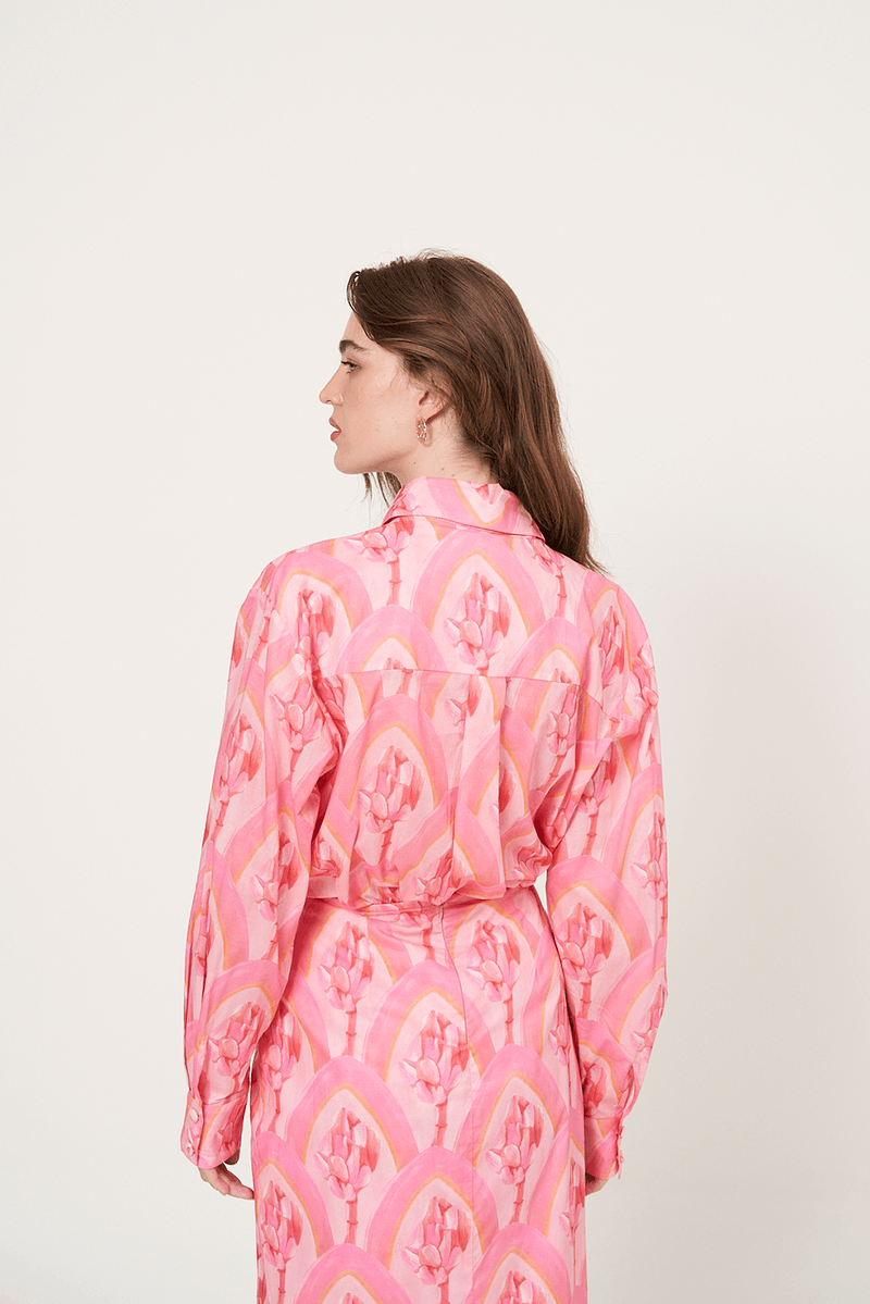 52821-ROSA-7