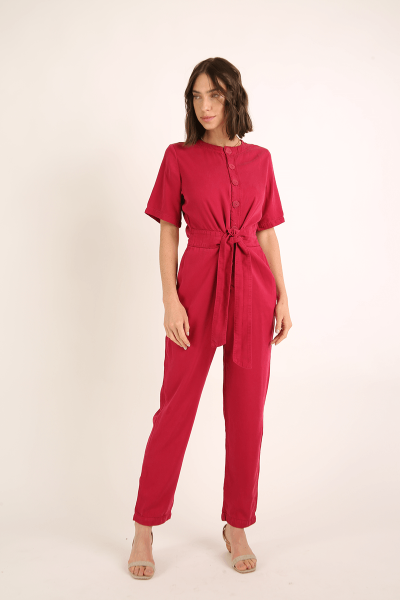 41281-ROSA-1