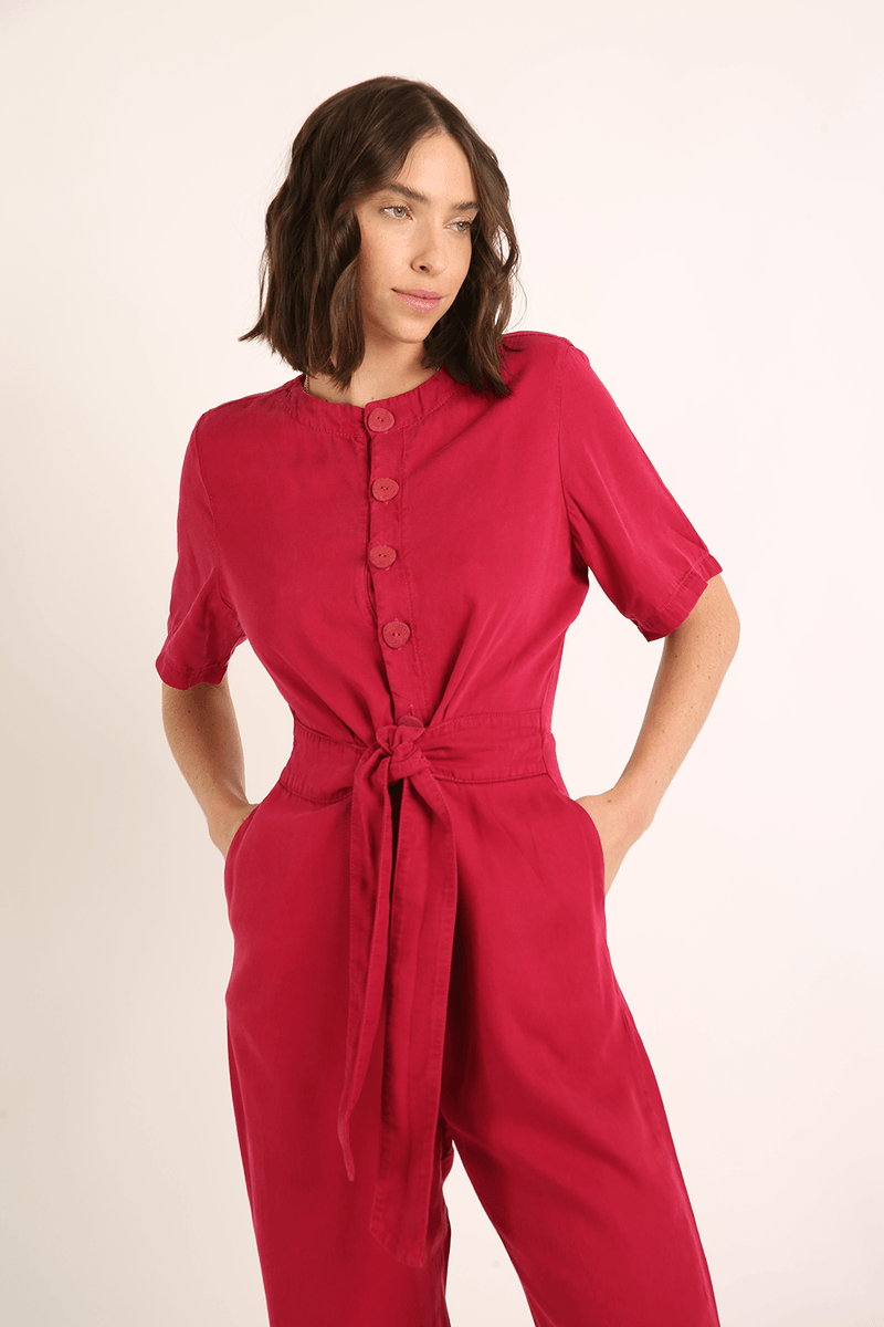 41281-ROSA-2