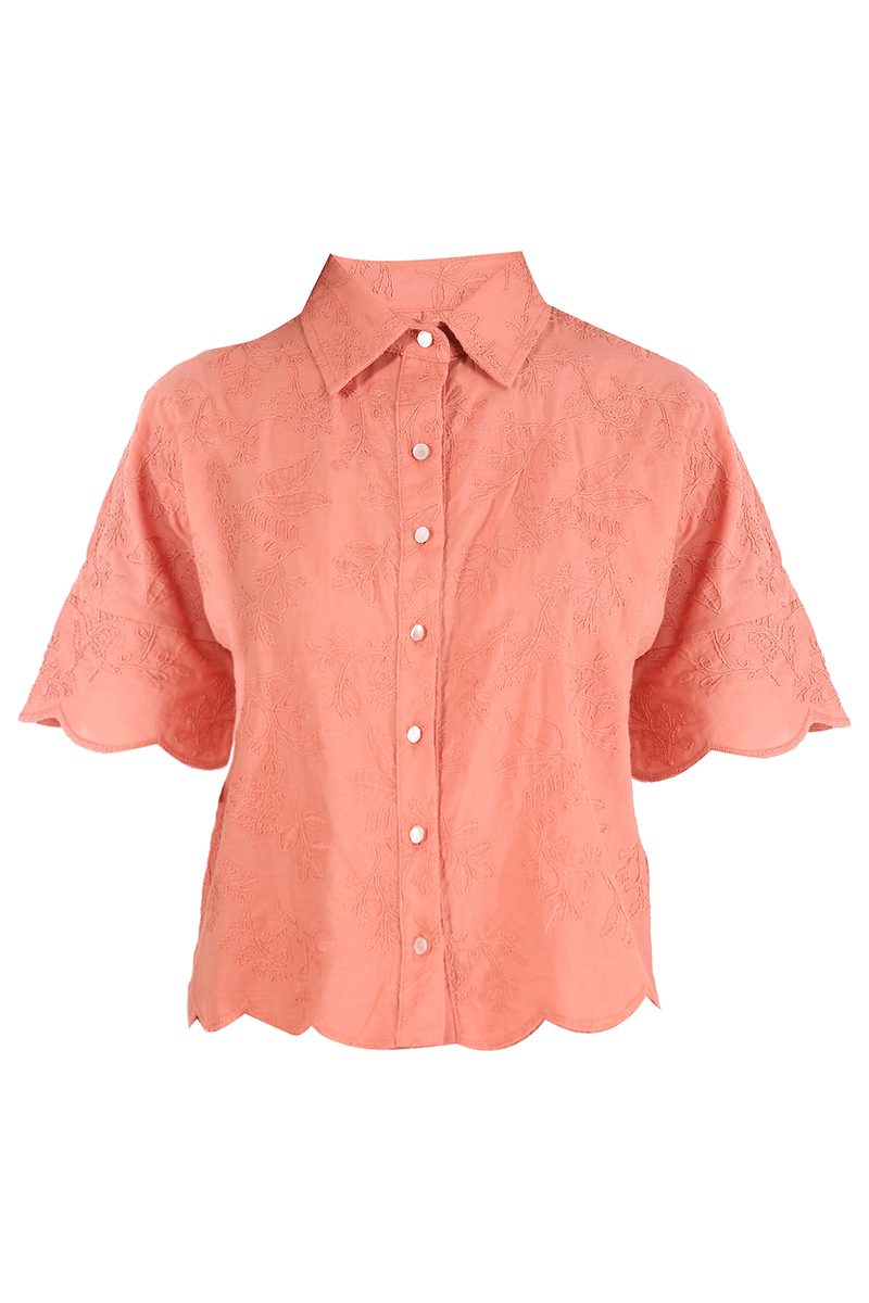 46899-LARANJA-1
