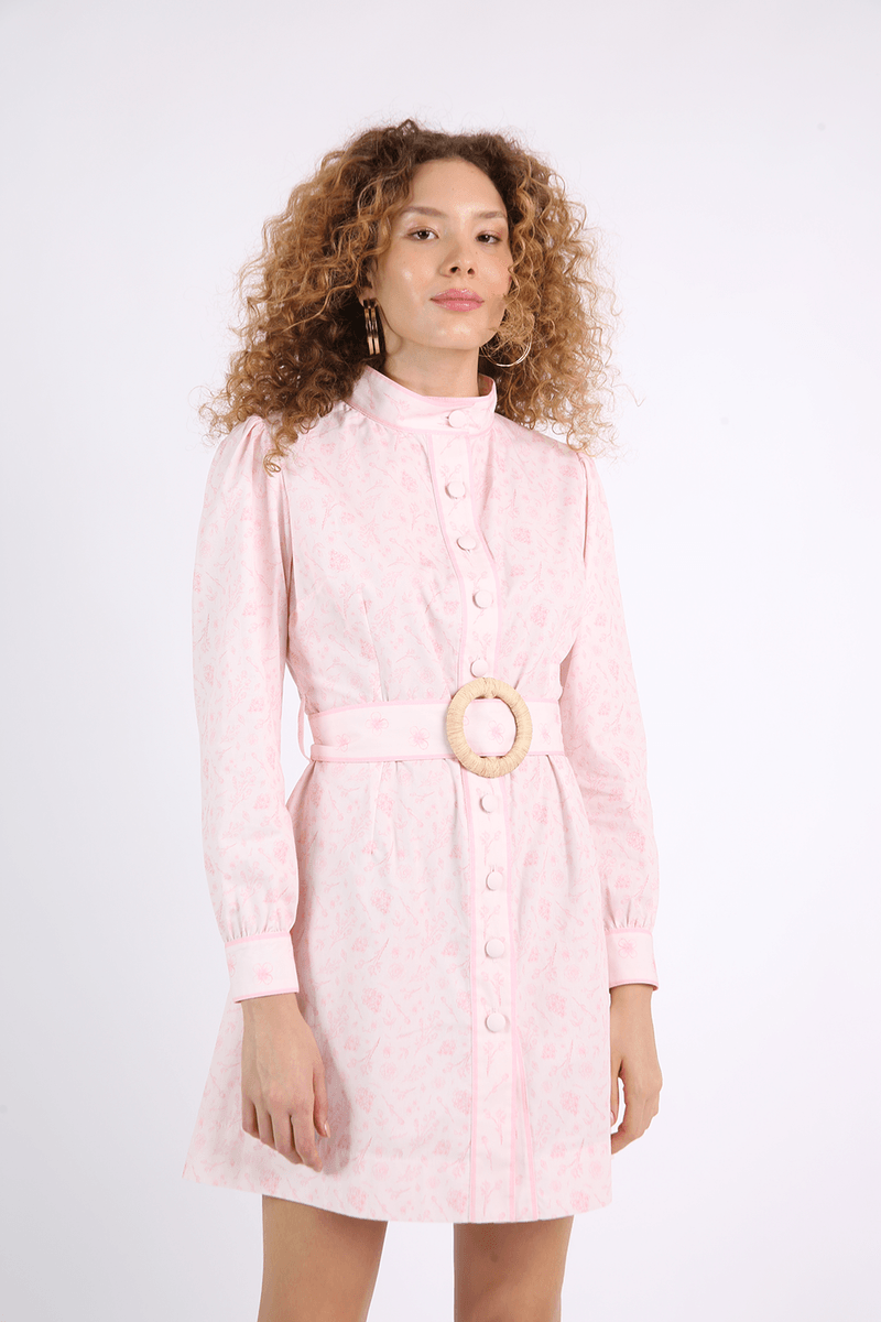 42867-ROSA-1