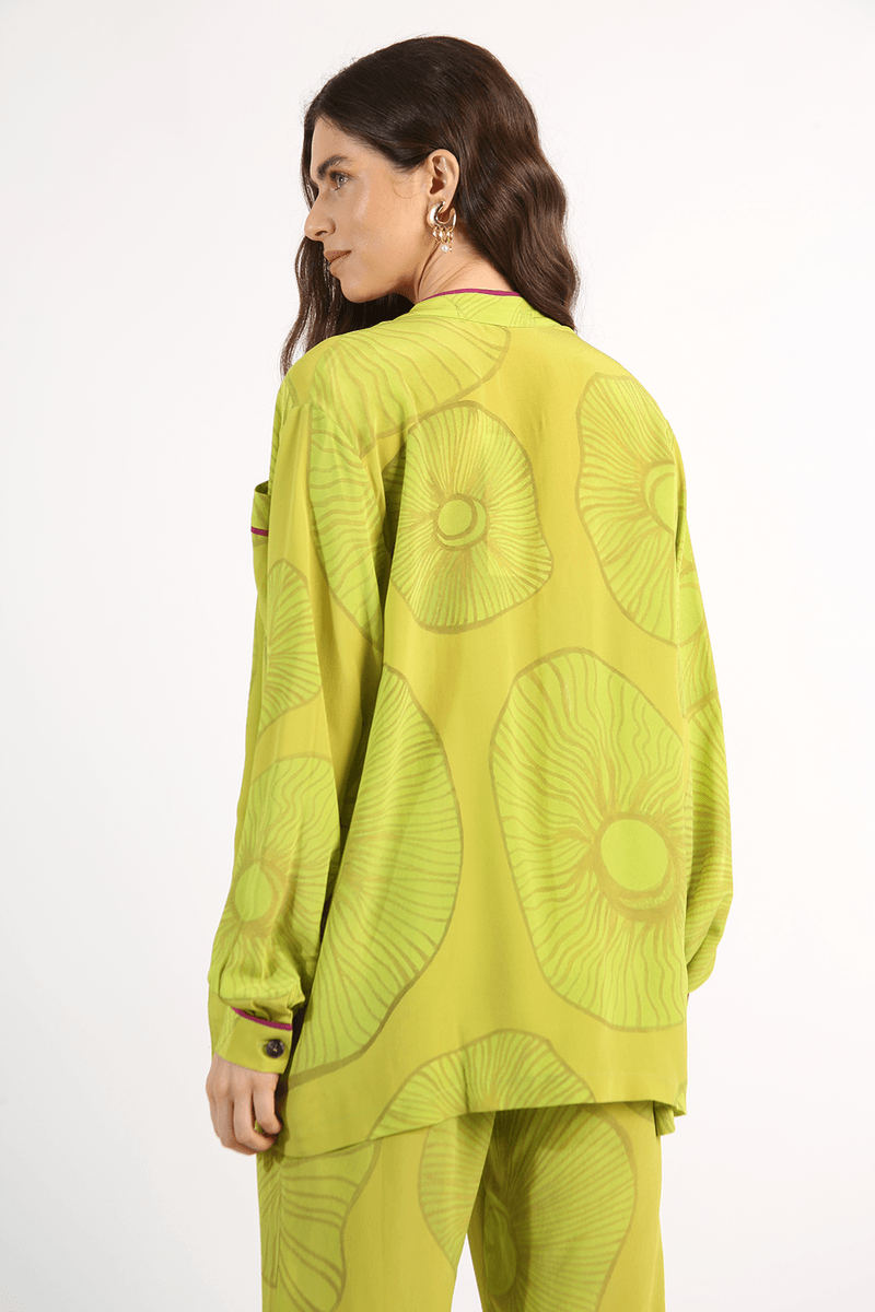 41669-VERDE-3
