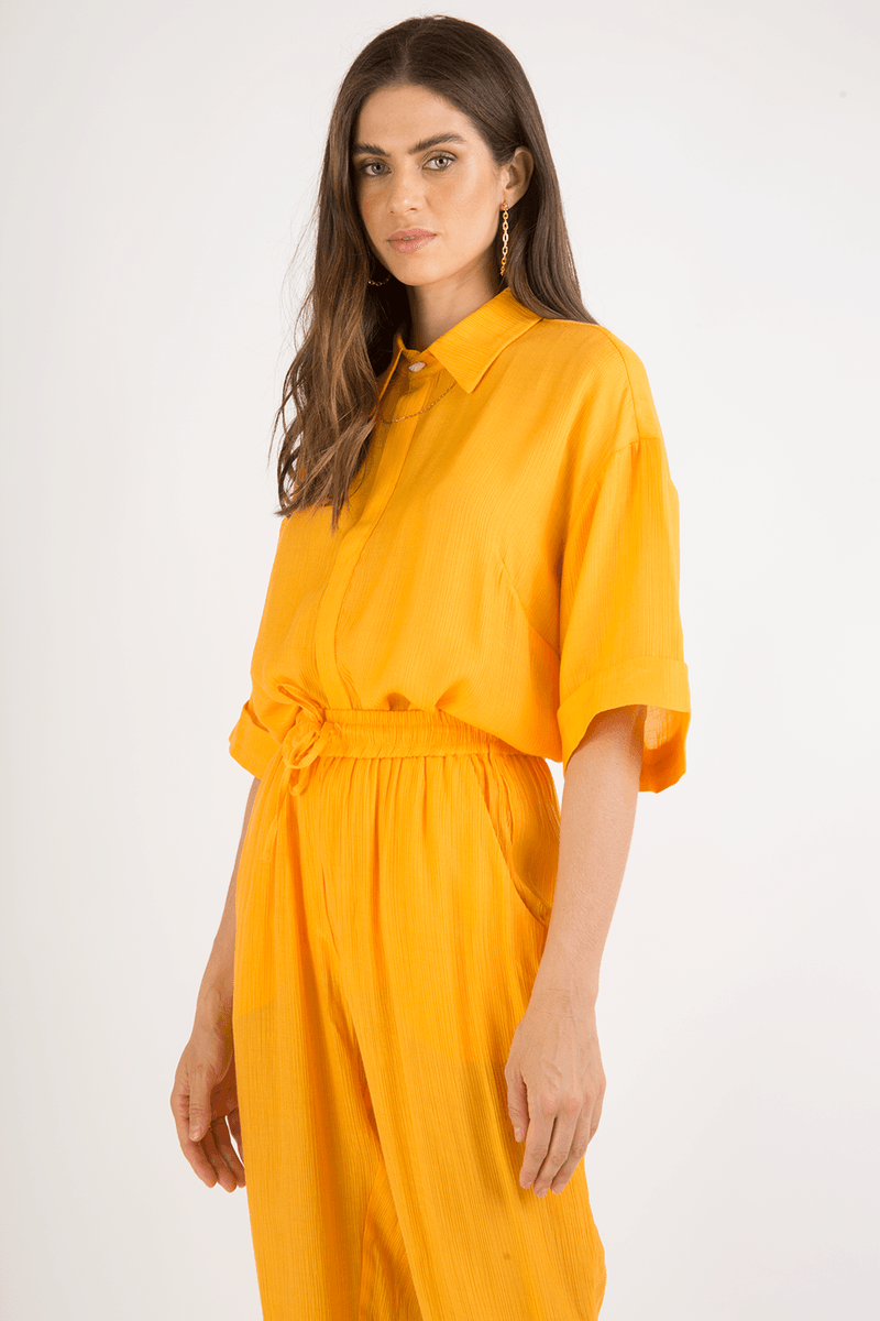 39299-AMARELO-2