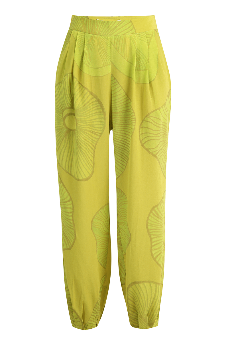 41670-VERDE-5