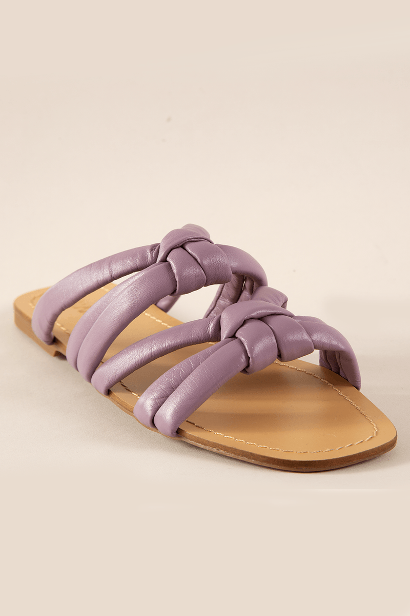 39458-LILAS-2