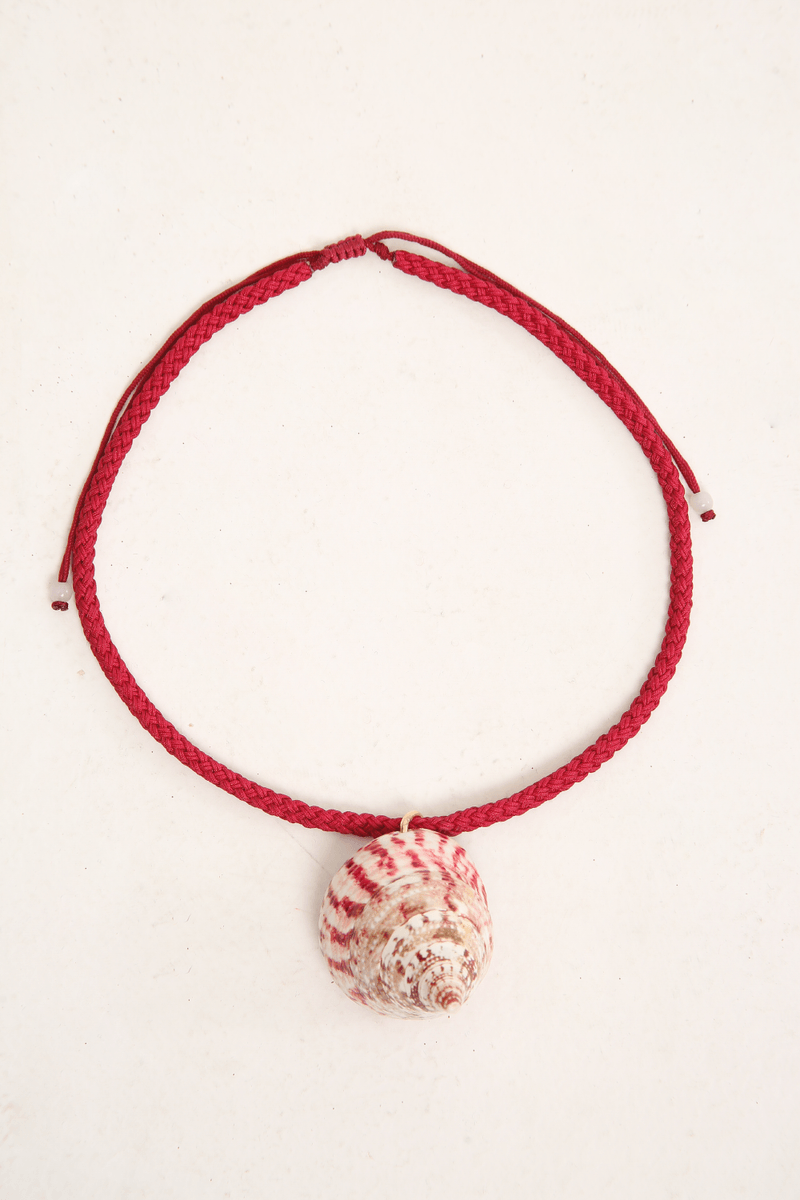 49843-ROSA-1