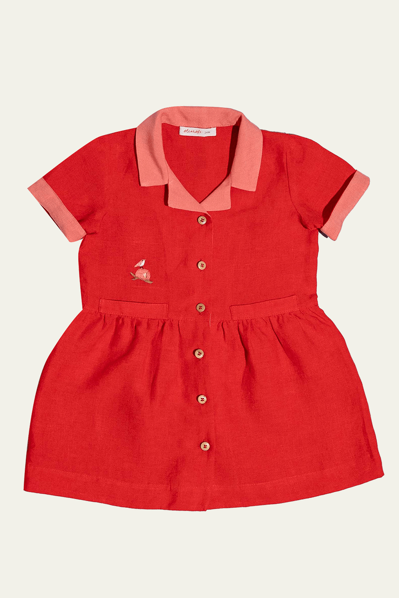 46865-VERMELHO-1