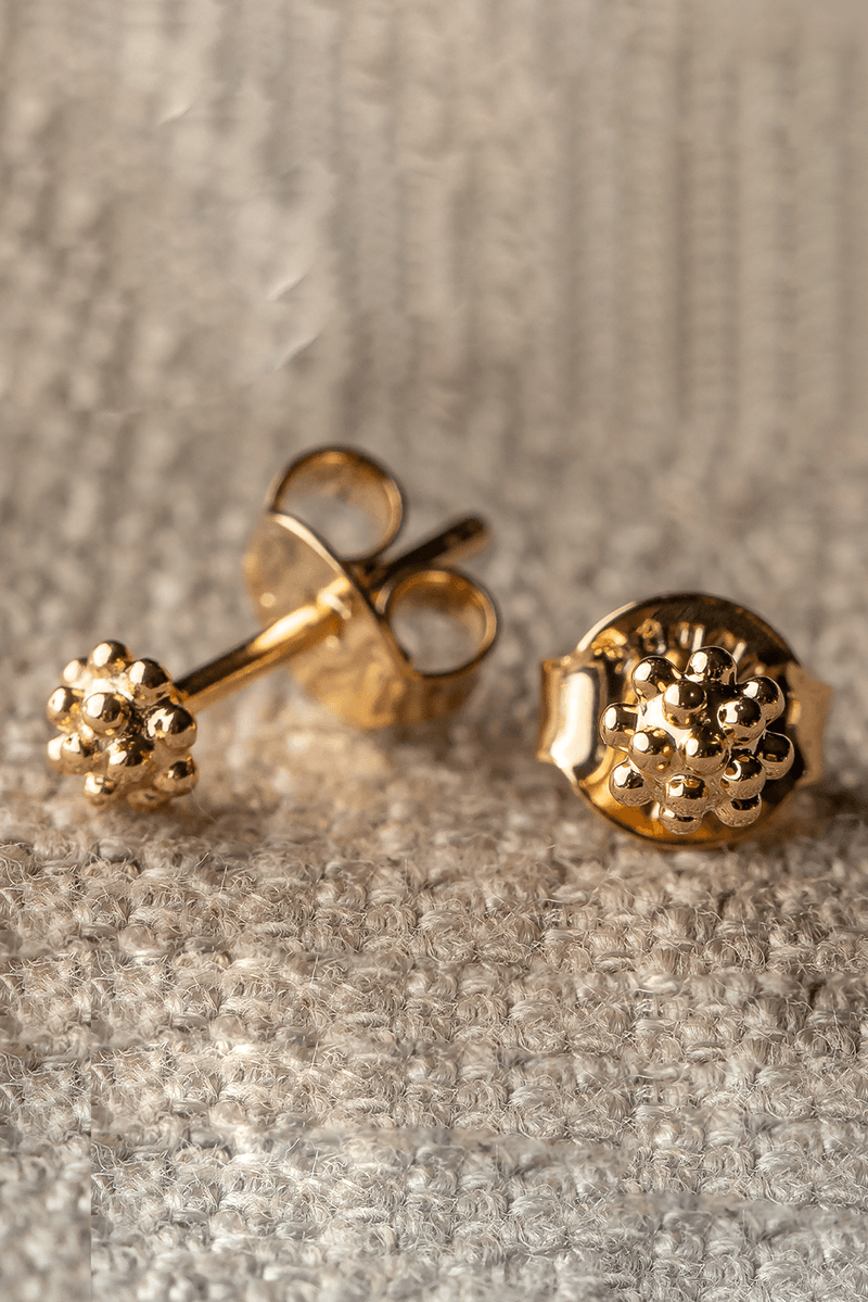 MKT_EMC_0012_DOURADO-1