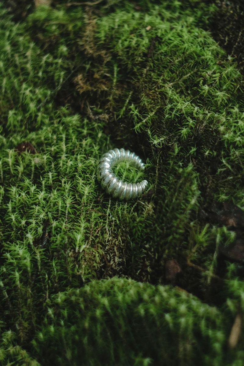 image-b7441d767c00473992305c1b7033e17f