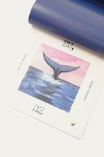 Livro Infantil Eu  Eu Editora Caixote - MULTICOLORIDO 1