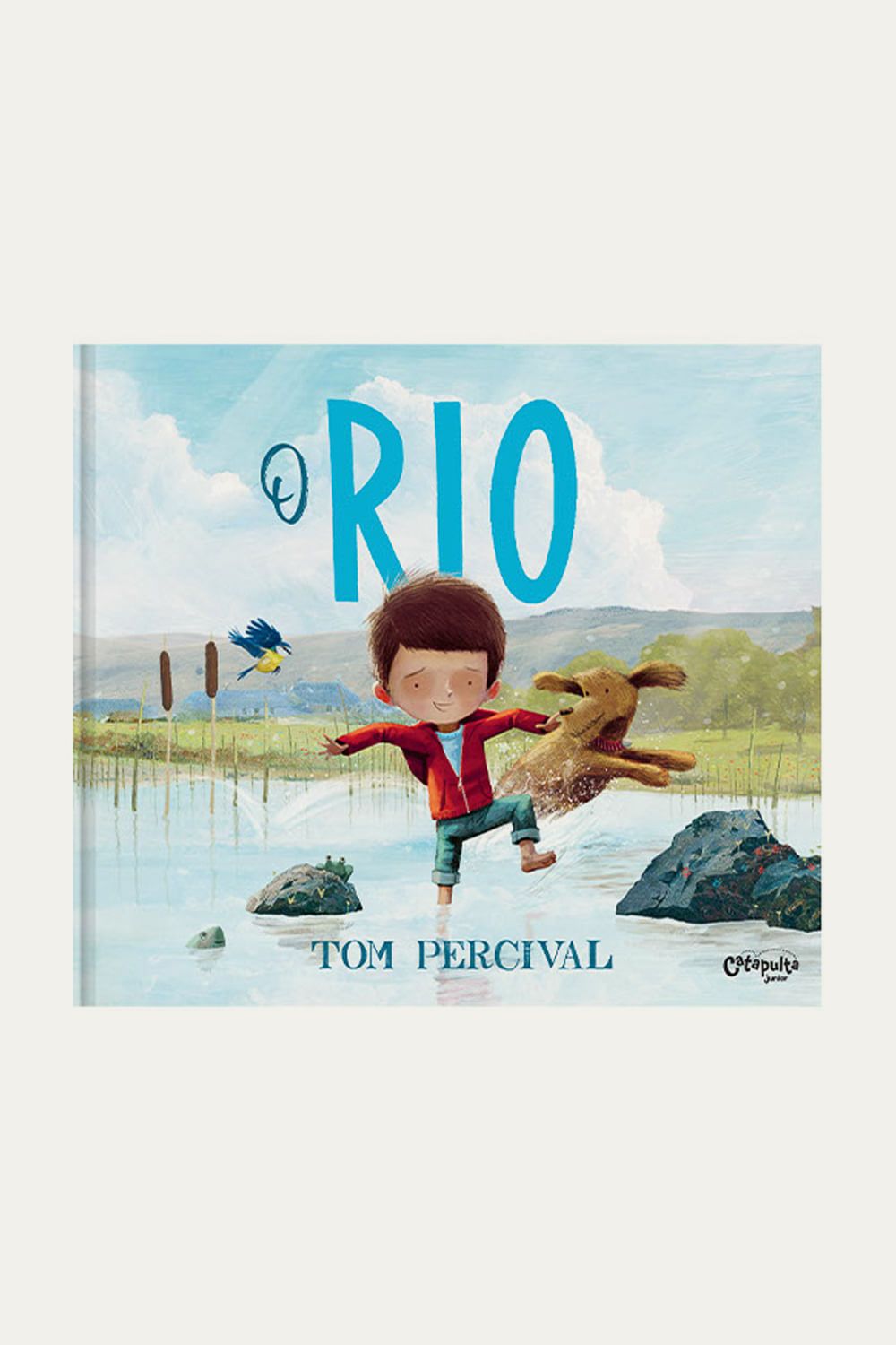 Livro Infantil O Rio Editora Catapulta - AZUL 0