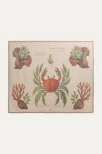 Panneaux Crustaces Botanicum L  Macie - MULTICOLORIDO 0